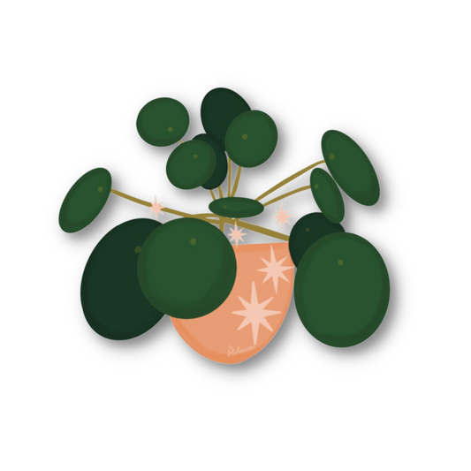 Pilea plant Sticker