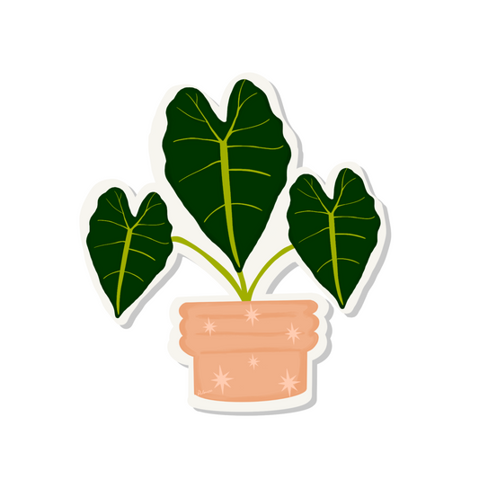 Alocasia plant Sticker