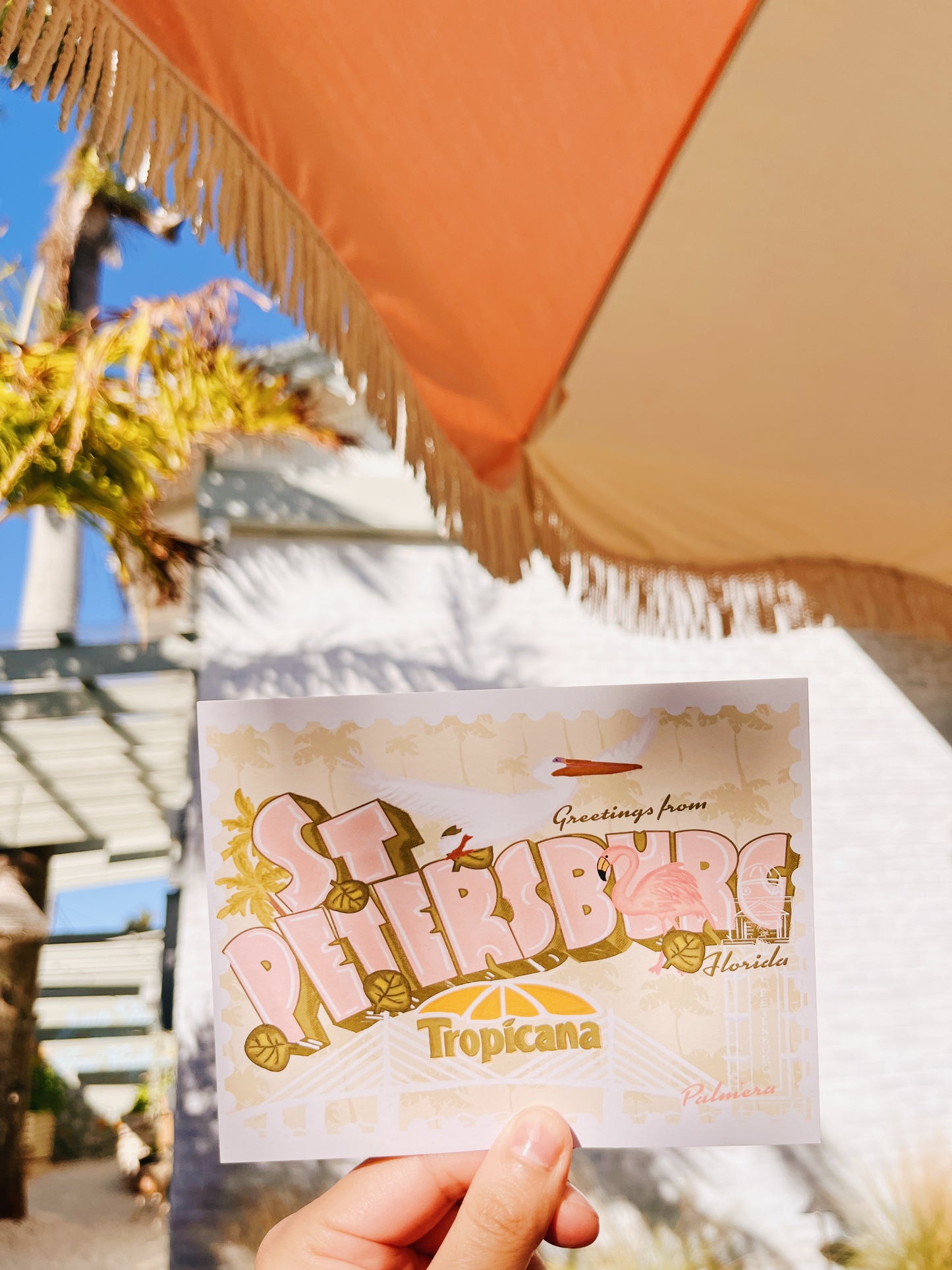 St. Pete Postcard