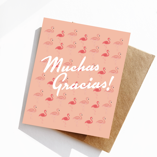 Muchas Gracias!