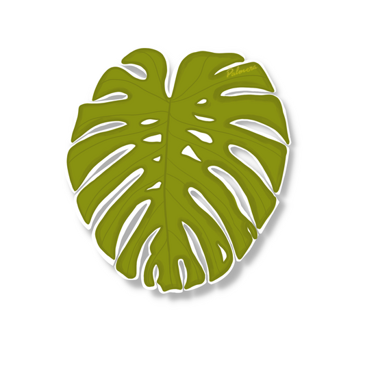 Monstera Leaf  Sticker